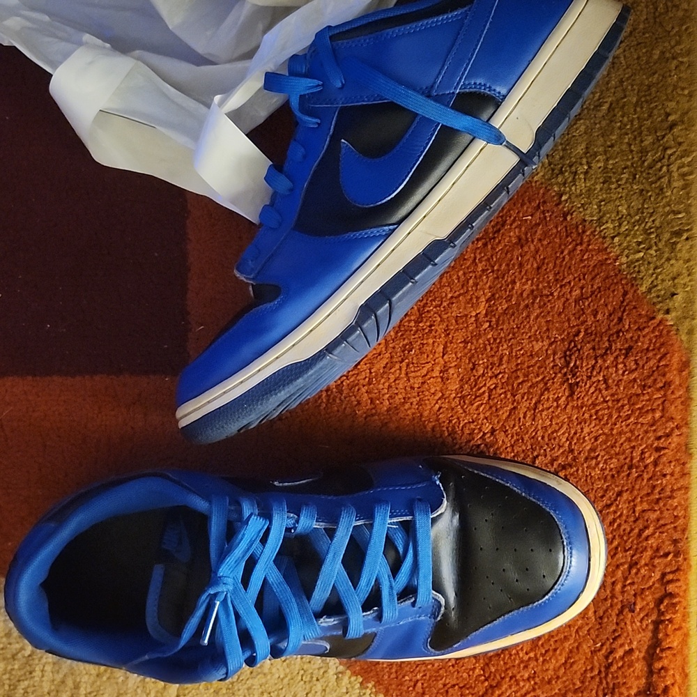 Nike dunks size 13